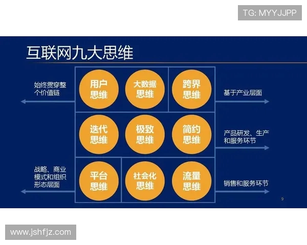 深入分析杭州滑板队的运营策略与发展模式探讨