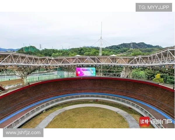 深圳排球队的比赛经验揭秘：从训练到赛场的全方位解析